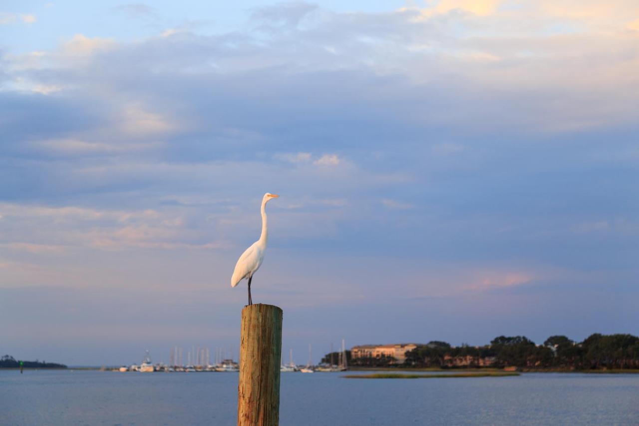 Harbourside 7123 Villa Hilton Head Island Exterior foto